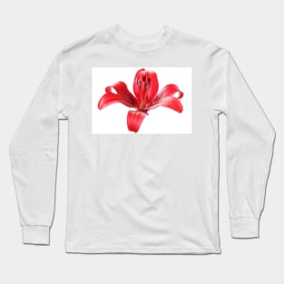 Lilium  'Blackout'  Lily  Asiatic lily Long Sleeve T-Shirt